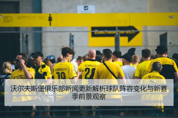 沃尔夫斯堡俱乐部新闻更新解析球队阵容变化与新赛季前景观察
